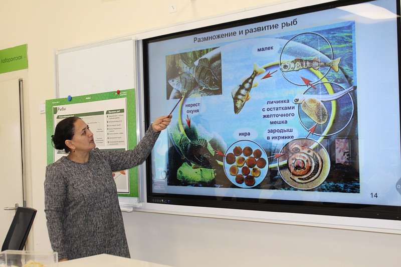 Сегодня Ученики 8-го класса ГБОУ СОШ в г. Куляб отправились в захватывающее путешествие в водный мир, где обитают самые разнообразные и удивительные создания - рыбы! 