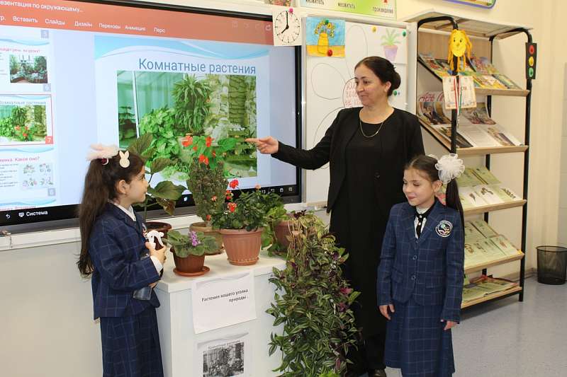 Урок окружающего мира